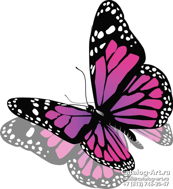  Butterflies 142